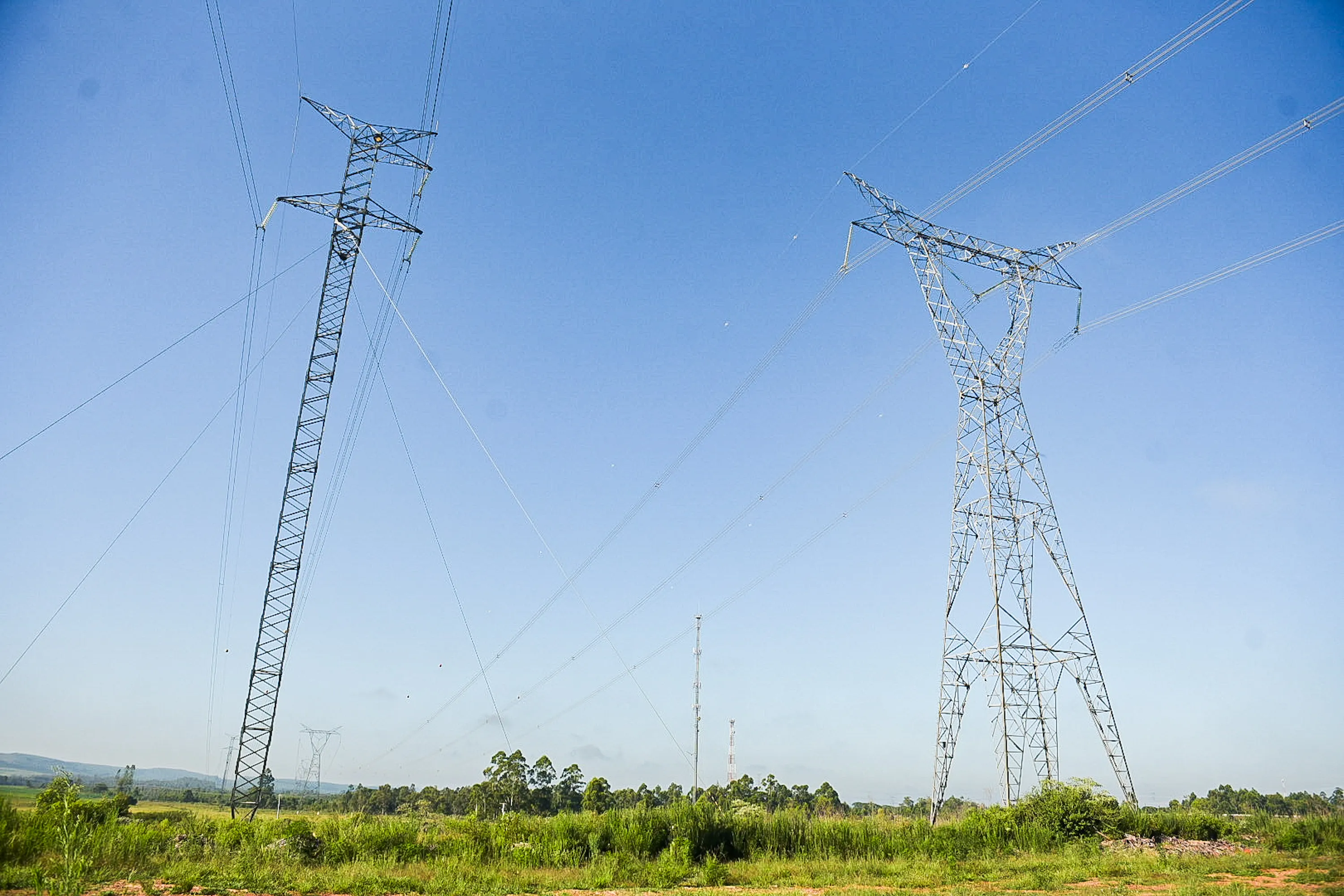 The electricity grid runs through land acquired by Scala for the construction of its AI City: a 'critical advantage'. Photo by Alass Derivas.